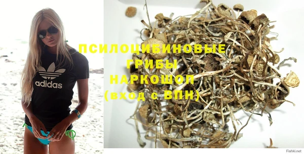 тгк Алзамай