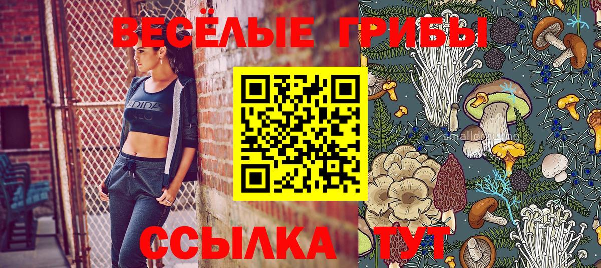 Псилоцибиновые грибы мухоморы  Галлюциногенные грибы Cubensis  Дедовск  Вход с VPN 