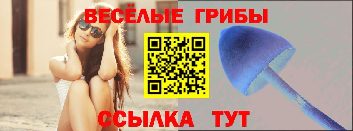 Псилоцибиновые грибы ЛСД Дедовск